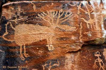 Rock art near Sedona, AZ • Photograph by Susie Reed