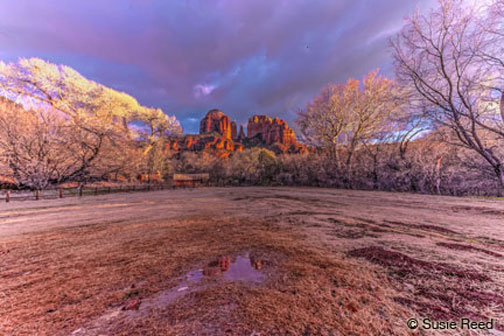 Cathedral Rock Reflection after Rain "Peace On Earth" • Sedona, AZ • Photograph by Susie Reed
