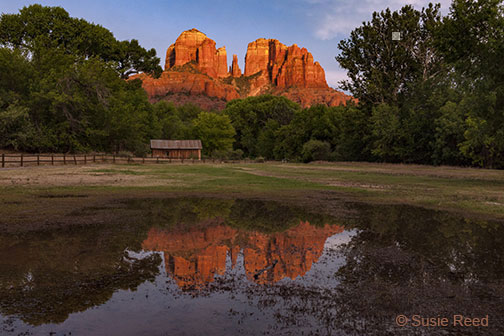 "Cathedral Sunset Reflection" • Cathedral Rock • Sedona, AZ • Photograph by Susie Reed