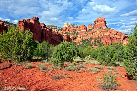 "Earth Womb" • Sedona, AZ • Lanadscape Photograph by Susie Reed