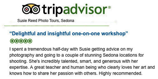 Susie Reed Photos TripAdvisor 5 star Review