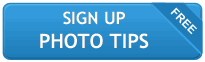 Sign up for Susie Reed's Free Photo Tips Link Button