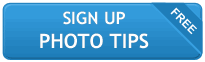 Sign Up for Susie Reed's Free Photo Tips Link Button