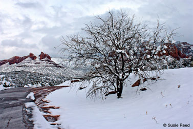 "Snowy Sedona" • Photo by Susie Reed