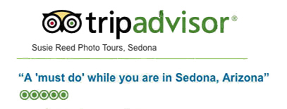 Susie Reed Photos TripAdvisor 5-star Review