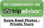 TripAdvisor Susie Reed Photos 5-Star Review