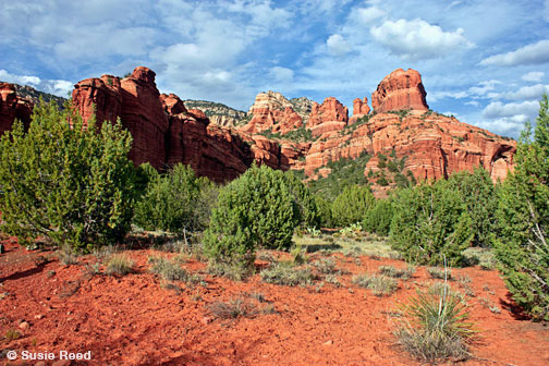 Landscape near Sedona, AZ Photograph by Susie Reed